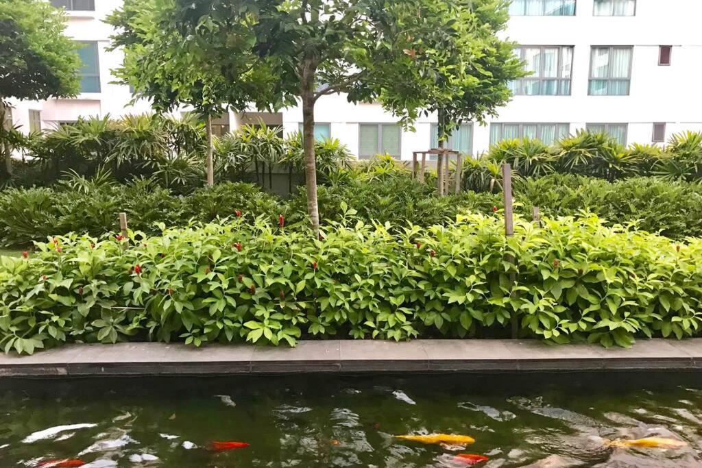 Condo In Imago Mall 亚庇最大商场imago楼里公寓 코타키나발루에서가장큰쇼핑센터아파트 المظهر الخارجي الصورة